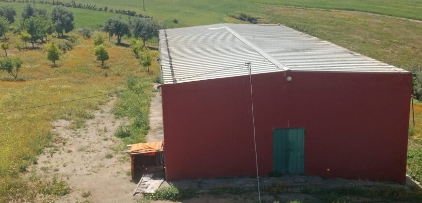 Ferme à Vendre – Région Rabat-Salé