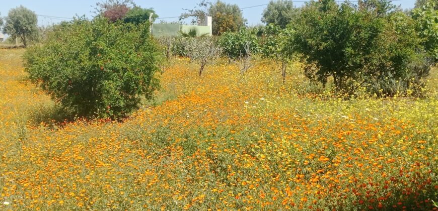 Ferme à Vendre – Région Rabat-Salé