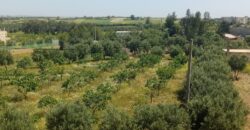 Ferme à Vendre – Région Rabat-Salé