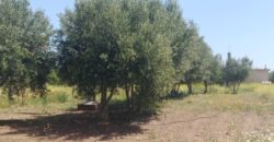 Ferme à Vendre – Région Rabat-Salé