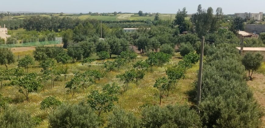 Ferme à Vendre – Région Rabat-Salé