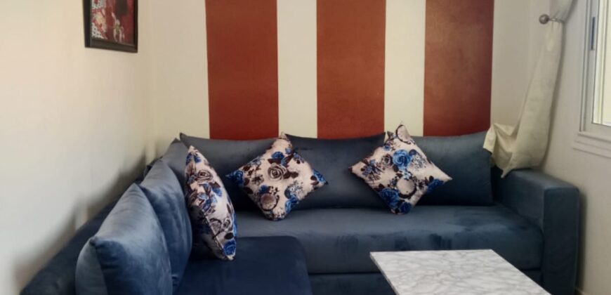 Appartement Meublé à Louer – Quartier Hassan, Rabat