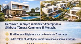 🏡 Projet Résidentiel – Lotissement & Construction de Villas | El Menzeh – Skhirate-Témara