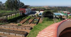 FERME À VENDRE – Région de Benslimane (à 55 km de Rabat)