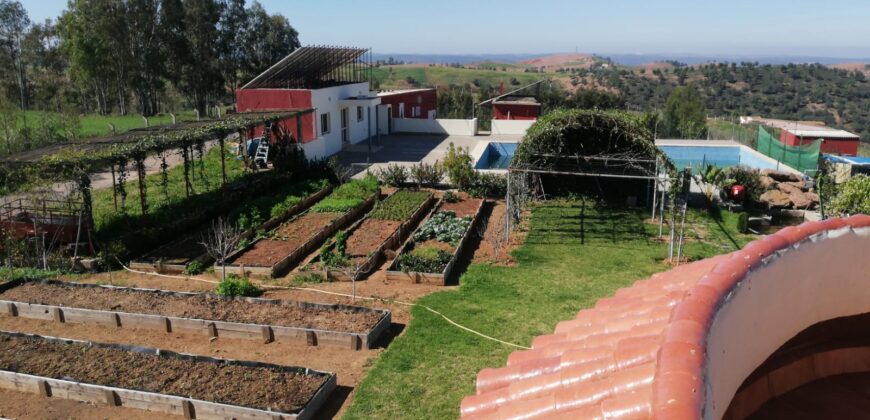FERME À VENDRE – Région de Benslimane (à 55 km de Rabat)