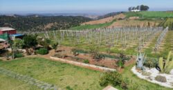 FERME À VENDRE – Région de Benslimane (à 55 km de Rabat)