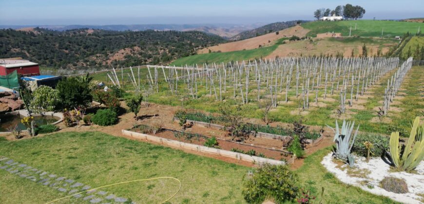 FERME À VENDRE – Région de Benslimane (à 55 km de Rabat)