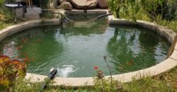 FERME À VENDRE – Région de Benslimane (à 55 km de Rabat)