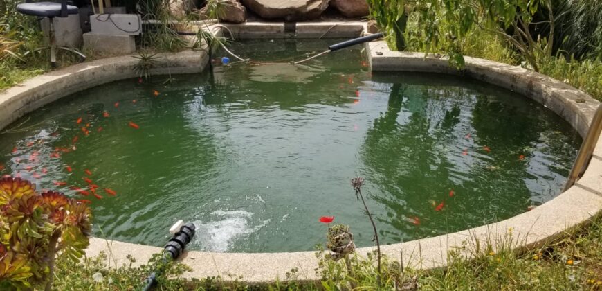 FERME À VENDRE – Région de Benslimane (à 55 km de Rabat)