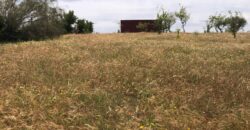 🌿 FERME À VENDRE – Sidi Allal Bahraoui (à 20 min de Rabat) 🌿