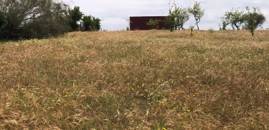 🌿 FERME À VENDRE – Sidi Allal Bahraoui (à 20 min de Rabat) 🌿